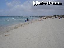 [P18] plaja es trenc » foto by Alb
 - 
<span class="allrVoted glyphicon glyphicon-heart hidden" id="av40528"></span>
<a class="m-l-10 hidden" id="sv40528" onclick="voting_Foto_DelVot(,40528,4407)" role="button">șterge vot <span class="glyphicon glyphicon-remove"></span></a>
<a id="v940528" class=" c-red"  onclick="voting_Foto_SetVot(40528)" role="button"><span class="glyphicon glyphicon-heart-empty"></span> <b>LIKE</b> = Votează poza</a> <img class="hidden"  id="f40528W9" src="/imagini/loader.gif" border="0" /><span class="AjErrMes hidden" id="e40528ErM"></span>