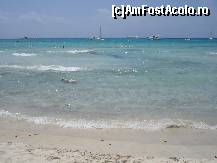 [P08] es trenc » foto by Alb
 - 
<span class="allrVoted glyphicon glyphicon-heart hidden" id="av40512"></span>
<a class="m-l-10 hidden" id="sv40512" onclick="voting_Foto_DelVot(,40512,4407)" role="button">șterge vot <span class="glyphicon glyphicon-remove"></span></a>
<a id="v940512" class=" c-red"  onclick="voting_Foto_SetVot(40512)" role="button"><span class="glyphicon glyphicon-heart-empty"></span> <b>LIKE</b> = Votează poza</a> <img class="hidden"  id="f40512W9" src="/imagini/loader.gif" border="0" /><span class="AjErrMes hidden" id="e40512ErM"></span>