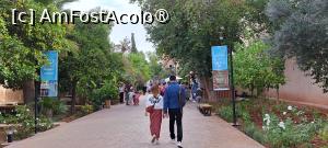 [P46] Palatul Bahia, aleea de acces » foto by irinad
 - 
<span class="allrVoted glyphicon glyphicon-heart hidden" id="av1509871"></span>
<a class="m-l-10 hidden" id="sv1509871" onclick="voting_Foto_DelVot(,1509871,4416)" role="button">șterge vot <span class="glyphicon glyphicon-remove"></span></a>
<a id="v91509871" class=" c-red"  onclick="voting_Foto_SetVot(1509871)" role="button"><span class="glyphicon glyphicon-heart-empty"></span> <b>LIKE</b> = Votează poza</a> <img class="hidden"  id="f1509871W9" src="/imagini/loader.gif" border="0" /><span class="AjErrMes hidden" id="e1509871ErM"></span>