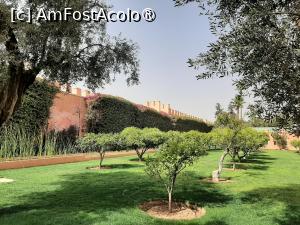 [P25] Grădinile hotelului (&icirc;n st&acirc;nga: vechiul zid al cetății) » foto by adso
 - 
<span class="allrVoted glyphicon glyphicon-heart hidden" id="av1401058"></span>
<a class="m-l-10 hidden" id="sv1401058" onclick="voting_Foto_DelVot(,1401058,4416)" role="button">șterge vot <span class="glyphicon glyphicon-remove"></span></a>
<a id="v91401058" class=" c-red"  onclick="voting_Foto_SetVot(1401058)" role="button"><span class="glyphicon glyphicon-heart-empty"></span> <b>LIKE</b> = Votează poza</a> <img class="hidden"  id="f1401058W9" src="/imagini/loader.gif" border="0" /><span class="AjErrMes hidden" id="e1401058ErM"></span>