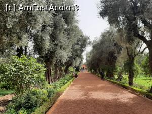 [P31] Grădinile hotelului » foto by adso
 - 
<span class="allrVoted glyphicon glyphicon-heart hidden" id="av1401064"></span>
<a class="m-l-10 hidden" id="sv1401064" onclick="voting_Foto_DelVot(,1401064,4416)" role="button">șterge vot <span class="glyphicon glyphicon-remove"></span></a>
<a id="v91401064" class=" c-red"  onclick="voting_Foto_SetVot(1401064)" role="button"><span class="glyphicon glyphicon-heart-empty"></span> <b>LIKE</b> = Votează poza</a> <img class="hidden"  id="f1401064W9" src="/imagini/loader.gif" border="0" /><span class="AjErrMes hidden" id="e1401064ErM"></span>