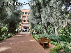 [P32] Grădinile hotelului (&icirc;n față: terasa de la ieșirea către grădini) » foto by adso
 - 
<span class="allrVoted glyphicon glyphicon-heart hidden" id="av1401065"></span>
<a class="m-l-10 hidden" id="sv1401065" onclick="voting_Foto_DelVot(,1401065,4416)" role="button">șterge vot <span class="glyphicon glyphicon-remove"></span></a>
<a id="v91401065" class=" c-red"  onclick="voting_Foto_SetVot(1401065)" role="button"><span class="glyphicon glyphicon-heart-empty"></span> <b>LIKE</b> = Votează poza</a> <img class="hidden"  id="f1401065W9" src="/imagini/loader.gif" border="0" /><span class="AjErrMes hidden" id="e1401065ErM"></span>