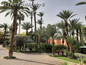 [P83] Curtea de la intrare » foto by adso
 - 
<span class="allrVoted glyphicon glyphicon-heart hidden" id="av1401116"></span>
<a class="m-l-10 hidden" id="sv1401116" onclick="voting_Foto_DelVot(,1401116,4416)" role="button">șterge vot <span class="glyphicon glyphicon-remove"></span></a>
<a id="v91401116" class=" c-red"  onclick="voting_Foto_SetVot(1401116)" role="button"><span class="glyphicon glyphicon-heart-empty"></span> <b>LIKE</b> = Votează poza</a> <img class="hidden"  id="f1401116W9" src="/imagini/loader.gif" border="0" /><span class="AjErrMes hidden" id="e1401116ErM"></span>