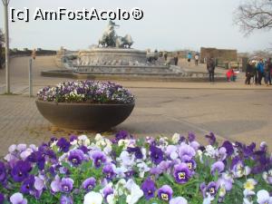 [P03] Fântâna Gefion fără apă...  » foto by Marius 72
 - 
<span class="allrVoted glyphicon glyphicon-heart hidden" id="av967361"></span>
<a class="m-l-10 hidden" id="sv967361" onclick="voting_Foto_DelVot(,967361,4424)" role="button">șterge vot <span class="glyphicon glyphicon-remove"></span></a>
<a id="v9967361" class=" c-red"  onclick="voting_Foto_SetVot(967361)" role="button"><span class="glyphicon glyphicon-heart-empty"></span> <b>LIKE</b> = Votează poza</a> <img class="hidden"  id="f967361W9" src="/imagini/loader.gif" border="0" /><span class="AjErrMes hidden" id="e967361ErM"></span>