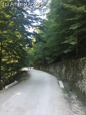 [P08]  -- <small>// FĂRĂ DESCRIERE</small> » foto by Yersinia Pestis
 - 
<span class="allrVoted glyphicon glyphicon-heart hidden" id="av902730"></span>
<a class="m-l-10 hidden" id="sv902730" onclick="voting_Foto_DelVot(,902730,4440)" role="button">șterge vot <span class="glyphicon glyphicon-remove"></span></a>
<a id="v9902730" class=" c-red"  onclick="voting_Foto_SetVot(902730)" role="button"><span class="glyphicon glyphicon-heart-empty"></span> <b>LIKE</b> = Votează poza</a> <img class="hidden"  id="f902730W9" src="/imagini/loader.gif" border="0" /><span class="AjErrMes hidden" id="e902730ErM"></span>