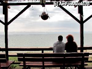 [P10] este... credeti-ma pe cuvant.  » foto by no_oxigen
 - 
<span class="allrVoted glyphicon glyphicon-heart hidden" id="av421359"></span>
<a class="m-l-10 hidden" id="sv421359" onclick="voting_Foto_DelVot(,421359,4522)" role="button">șterge vot <span class="glyphicon glyphicon-remove"></span></a>
<a id="v9421359" class=" c-red"  onclick="voting_Foto_SetVot(421359)" role="button"><span class="glyphicon glyphicon-heart-empty"></span> <b>LIKE</b> = Votează poza</a> <img class="hidden"  id="f421359W9" src="/imagini/loader.gif" border="0" /><span class="AjErrMes hidden" id="e421359ErM"></span>