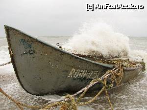 [P14] asta asa ca sa ma credeti » foto by no_oxigen
 - 
<span class="allrVoted glyphicon glyphicon-heart hidden" id="av421367"></span>
<a class="m-l-10 hidden" id="sv421367" onclick="voting_Foto_DelVot(,421367,4522)" role="button">șterge vot <span class="glyphicon glyphicon-remove"></span></a>
<a id="v9421367" class=" c-red"  onclick="voting_Foto_SetVot(421367)" role="button"><span class="glyphicon glyphicon-heart-empty"></span> <b>LIKE</b> = Votează poza</a> <img class="hidden"  id="f421367W9" src="/imagini/loader.gif" border="0" /><span class="AjErrMes hidden" id="e421367ErM"></span>