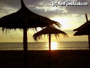 [P17] acolo ciupercile cresc foarte mari :)  » foto by no_oxigen
 - 
<span class="allrVoted glyphicon glyphicon-heart hidden" id="av421374"></span>
<a class="m-l-10 hidden" id="sv421374" onclick="voting_Foto_DelVot(,421374,4522)" role="button">șterge vot <span class="glyphicon glyphicon-remove"></span></a>
<a id="v9421374" class=" c-red"  onclick="voting_Foto_SetVot(421374)" role="button"><span class="glyphicon glyphicon-heart-empty"></span> <b>LIKE</b> = Votează poza</a> <img class="hidden"  id="f421374W9" src="/imagini/loader.gif" border="0" /><span class="AjErrMes hidden" id="e421374ErM"></span>