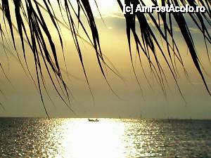 [P18]  -- <small>// FĂRĂ DESCRIERE</small> » foto by no_oxigen
 - 
<span class="allrVoted glyphicon glyphicon-heart hidden" id="av421377"></span>
<a class="m-l-10 hidden" id="sv421377" onclick="voting_Foto_DelVot(,421377,4522)" role="button">șterge vot <span class="glyphicon glyphicon-remove"></span></a>
<a id="v9421377" class=" c-red"  onclick="voting_Foto_SetVot(421377)" role="button"><span class="glyphicon glyphicon-heart-empty"></span> <b>LIKE</b> = Votează poza</a> <img class="hidden"  id="f421377W9" src="/imagini/loader.gif" border="0" /><span class="AjErrMes hidden" id="e421377ErM"></span>