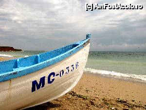 [P21] mai vin si zile insorite.  » foto by no_oxigen
 - 
<span class="allrVoted glyphicon glyphicon-heart hidden" id="av421384"></span>
<a class="m-l-10 hidden" id="sv421384" onclick="voting_Foto_DelVot(,421384,4522)" role="button">șterge vot <span class="glyphicon glyphicon-remove"></span></a>
<a id="v9421384" class=" c-red"  onclick="voting_Foto_SetVot(421384)" role="button"><span class="glyphicon glyphicon-heart-empty"></span> <b>LIKE</b> = Votează poza</a> <img class="hidden"  id="f421384W9" src="/imagini/loader.gif" border="0" /><span class="AjErrMes hidden" id="e421384ErM"></span>