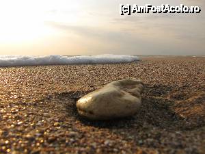 [P69]  -- <small>// FĂRĂ DESCRIERE</small> » foto by no_oxigen
 - 
<span class="allrVoted glyphicon glyphicon-heart hidden" id="av421468"></span>
<a class="m-l-10 hidden" id="sv421468" onclick="voting_Foto_DelVot(,421468,4522)" role="button">șterge vot <span class="glyphicon glyphicon-remove"></span></a>
<a id="v9421468" class=" c-red"  onclick="voting_Foto_SetVot(421468)" role="button"><span class="glyphicon glyphicon-heart-empty"></span> <b>LIKE</b> = Votează poza</a> <img class="hidden"  id="f421468W9" src="/imagini/loader.gif" border="0" /><span class="AjErrMes hidden" id="e421468ErM"></span>