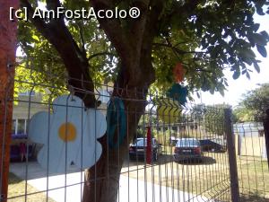 [P15] Vama Veche, Strada Ion Creangă » foto by danaeldreny*
 - 
<span class="allrVoted glyphicon glyphicon-heart hidden" id="av920154"></span>
<a class="m-l-10 hidden" id="sv920154" onclick="voting_Foto_DelVot(,920154,4522)" role="button">șterge vot <span class="glyphicon glyphicon-remove"></span></a>
<a id="v9920154" class=" c-red"  onclick="voting_Foto_SetVot(920154)" role="button"><span class="glyphicon glyphicon-heart-empty"></span> <b>LIKE</b> = Votează poza</a> <img class="hidden"  id="f920154W9" src="/imagini/loader.gif" border="0" /><span class="AjErrMes hidden" id="e920154ErM"></span>