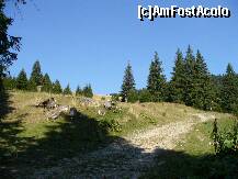 [P10] Dupa ce am trecut de Cabana Poiana Izvoarelor - in dreapta este padurea de unde s-a auzit zgomotul buclucas (sunt si eu pe acolo) » foto by ascent
 - 
<span class="allrVoted glyphicon glyphicon-heart hidden" id="av152010"></span>
<a class="m-l-10 hidden" id="sv152010" onclick="voting_Foto_DelVot(,152010,4537)" role="button">șterge vot <span class="glyphicon glyphicon-remove"></span></a>
<a id="v9152010" class=" c-red"  onclick="voting_Foto_SetVot(152010)" role="button"><span class="glyphicon glyphicon-heart-empty"></span> <b>LIKE</b> = Votează poza</a> <img class="hidden"  id="f152010W9" src="/imagini/loader.gif" border="0" /><span class="AjErrMes hidden" id="e152010ErM"></span>