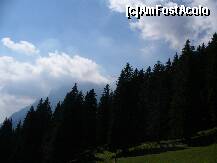 [P07] Peisajul pe care il putem admira dupa ce am urcat la Cabana Poiana Izvoarelor, Busteni » foto by ascent
 - 
<span class="allrVoted glyphicon glyphicon-heart hidden" id="av152007"></span>
<a class="m-l-10 hidden" id="sv152007" onclick="voting_Foto_DelVot(,152007,4537)" role="button">șterge vot <span class="glyphicon glyphicon-remove"></span></a>
<a id="v9152007" class=" c-red"  onclick="voting_Foto_SetVot(152007)" role="button"><span class="glyphicon glyphicon-heart-empty"></span> <b>LIKE</b> = Votează poza</a> <img class="hidden"  id="f152007W9" src="/imagini/loader.gif" border="0" /><span class="AjErrMes hidden" id="e152007ErM"></span>