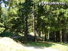 [P08] Traseul pe care am urcat pana la Cabana Poiana Izvoarelor, Busteni » foto by ascent
 - 
<span class="allrVoted glyphicon glyphicon-heart hidden" id="av152008"></span>
<a class="m-l-10 hidden" id="sv152008" onclick="voting_Foto_DelVot(,152008,4537)" role="button">șterge vot <span class="glyphicon glyphicon-remove"></span></a>
<a id="v9152008" class=" c-red"  onclick="voting_Foto_SetVot(152008)" role="button"><span class="glyphicon glyphicon-heart-empty"></span> <b>LIKE</b> = Votează poza</a> <img class="hidden"  id="f152008W9" src="/imagini/loader.gif" border="0" /><span class="AjErrMes hidden" id="e152008ErM"></span>