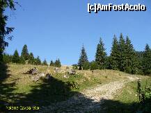 [P09] Dupa ce am trecut de Cabana Poiana Izvoarelor, apare acea poiana cu iarba inalta - iar eu, undeva sus, admiram privelistea » foto by ascent
 - 
<span class="allrVoted glyphicon glyphicon-heart hidden" id="av152009"></span>
<a class="m-l-10 hidden" id="sv152009" onclick="voting_Foto_DelVot(,152009,4537)" role="button">șterge vot <span class="glyphicon glyphicon-remove"></span></a>
<a id="v9152009" class=" c-red"  onclick="voting_Foto_SetVot(152009)" role="button"><span class="glyphicon glyphicon-heart-empty"></span> <b>LIKE</b> = Votează poza</a> <img class="hidden"  id="f152009W9" src="/imagini/loader.gif" border="0" /><span class="AjErrMes hidden" id="e152009ErM"></span>