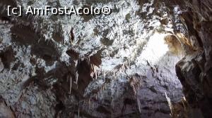 [P06] 'macaroanele' » foto by raducondurache
 - 
<span class="allrVoted glyphicon glyphicon-heart hidden" id="av889670"></span>
<a class="m-l-10 hidden" id="sv889670" onclick="voting_Foto_DelVot(,889670,4543)" role="button">șterge vot <span class="glyphicon glyphicon-remove"></span></a>
<a id="v9889670" class=" c-red"  onclick="voting_Foto_SetVot(889670)" role="button"><span class="glyphicon glyphicon-heart-empty"></span> <b>LIKE</b> = Votează poza</a> <img class="hidden"  id="f889670W9" src="/imagini/loader.gif" border="0" /><span class="AjErrMes hidden" id="e889670ErM"></span>