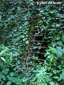 [P61] catacombe » foto by libertango
 - 
<span class="allrVoted glyphicon glyphicon-heart hidden" id="av207246"></span>
<a class="m-l-10 hidden" id="sv207246" onclick="voting_Foto_DelVot(,207246,4546)" role="button">șterge vot <span class="glyphicon glyphicon-remove"></span></a>
<a id="v9207246" class=" c-red"  onclick="voting_Foto_SetVot(207246)" role="button"><span class="glyphicon glyphicon-heart-empty"></span> <b>LIKE</b> = Votează poza</a> <img class="hidden"  id="f207246W9" src="/imagini/loader.gif" border="0" /><span class="AjErrMes hidden" id="e207246ErM"></span>