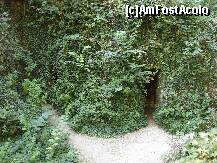 [P63]  -- <small>// FĂRĂ DESCRIERE</small> » foto by libertango
 - 
<span class="allrVoted glyphicon glyphicon-heart hidden" id="av207248"></span>
<a class="m-l-10 hidden" id="sv207248" onclick="voting_Foto_DelVot(,207248,4546)" role="button">șterge vot <span class="glyphicon glyphicon-remove"></span></a>
<a id="v9207248" class=" c-red"  onclick="voting_Foto_SetVot(207248)" role="button"><span class="glyphicon glyphicon-heart-empty"></span> <b>LIKE</b> = Votează poza</a> <img class="hidden"  id="f207248W9" src="/imagini/loader.gif" border="0" /><span class="AjErrMes hidden" id="e207248ErM"></span>