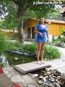 [P02] Prin curte, in spate erau vilutele, cred ca erau vreo 20-30. » foto by stancuandreea*
 - 
<span class="allrVoted glyphicon glyphicon-heart hidden" id="av116667"></span>
<a class="m-l-10 hidden" id="sv116667" onclick="voting_Foto_DelVot(,116667,4546)" role="button">șterge vot <span class="glyphicon glyphicon-remove"></span></a>
<a id="v9116667" class=" c-red"  onclick="voting_Foto_SetVot(116667)" role="button"><span class="glyphicon glyphicon-heart-empty"></span> <b>LIKE</b> = Votează poza</a> <img class="hidden"  id="f116667W9" src="/imagini/loader.gif" border="0" /><span class="AjErrMes hidden" id="e116667ErM"></span>