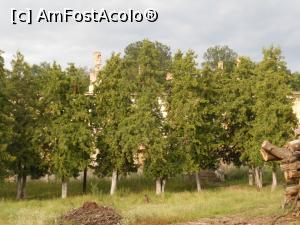 [P18] Podoleni - Dincolo de arbori, ruinele Conacului Crupenschi. » foto by iulianic
 - 
<span class="allrVoted glyphicon glyphicon-heart hidden" id="av1177717"></span>
<a class="m-l-10 hidden" id="sv1177717" onclick="voting_Foto_DelVot(,1177717,4549)" role="button">șterge vot <span class="glyphicon glyphicon-remove"></span></a>
<a id="v91177717" class=" c-red"  onclick="voting_Foto_SetVot(1177717)" role="button"><span class="glyphicon glyphicon-heart-empty"></span> <b>LIKE</b> = Votează poza</a> <img class="hidden"  id="f1177717W9" src="/imagini/loader.gif" border="0" /><span class="AjErrMes hidden" id="e1177717ErM"></span>