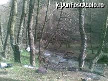 [P11] paraul trecand printre arborii batrani » foto by alex_iasi
 - 
<span class="allrVoted glyphicon glyphicon-heart hidden" id="av313248"></span>
<a class="m-l-10 hidden" id="sv313248" onclick="voting_Foto_DelVot(,313248,4549)" role="button">șterge vot <span class="glyphicon glyphicon-remove"></span></a>
<a id="v9313248" class=" c-red"  onclick="voting_Foto_SetVot(313248)" role="button"><span class="glyphicon glyphicon-heart-empty"></span> <b>LIKE</b> = Votează poza</a> <img class="hidden"  id="f313248W9" src="/imagini/loader.gif" border="0" /><span class="AjErrMes hidden" id="e313248ErM"></span>