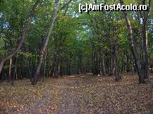 [P20] Suntem pe 'spinarea' Balaurului. Noroc că nu ne zguduie! Din păcate trebuie să ne întoarcem fiindcă acuşica se întunecă...  » foto by Qvadratvus
 - 
<span class="allrVoted glyphicon glyphicon-heart hidden" id="av390103"></span>
<a class="m-l-10 hidden" id="sv390103" onclick="voting_Foto_DelVot(,390103,4549)" role="button">șterge vot <span class="glyphicon glyphicon-remove"></span></a>
<a id="v9390103" class=" c-red"  onclick="voting_Foto_SetVot(390103)" role="button"><span class="glyphicon glyphicon-heart-empty"></span> <b>LIKE</b> = Votează poza</a> <img class="hidden"  id="f390103W9" src="/imagini/loader.gif" border="0" /><span class="AjErrMes hidden" id="e390103ErM"></span>