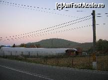 [P03] Dealul rezervaţiei, aşa cum se vede din DN15 la scurt timp după intrarea în Dobreni, dinspre Piatra Neamţ.  » foto by Qvadratvus
 - 
<span class="allrVoted glyphicon glyphicon-heart hidden" id="av390068"></span>
<a class="m-l-10 hidden" id="sv390068" onclick="voting_Foto_DelVot(,390068,4549)" role="button">șterge vot <span class="glyphicon glyphicon-remove"></span></a>
<a id="v9390068" class=" c-red"  onclick="voting_Foto_SetVot(390068)" role="button"><span class="glyphicon glyphicon-heart-empty"></span> <b>LIKE</b> = Votează poza</a> <img class="hidden"  id="f390068W9" src="/imagini/loader.gif" border="0" /><span class="AjErrMes hidden" id="e390068ErM"></span>