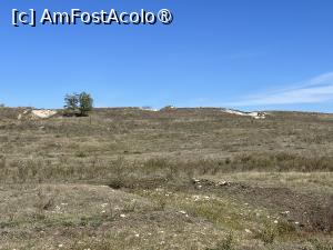 [P02] Tăpșanul care gîlgîie de istorie din Slava Rusă » foto by Yersinia Pestis
 - 
<span class="allrVoted glyphicon glyphicon-heart hidden" id="av1503240"></span>
<a class="m-l-10 hidden" id="sv1503240" onclick="voting_Foto_DelVot(,1503240,4623)" role="button">șterge vot <span class="glyphicon glyphicon-remove"></span></a>
<a id="v91503240" class=" c-red"  onclick="voting_Foto_SetVot(1503240)" role="button"><span class="glyphicon glyphicon-heart-empty"></span> <b>LIKE</b> = Votează poza</a> <img class="hidden"  id="f1503240W9" src="/imagini/loader.gif" border="0" /><span class="AjErrMes hidden" id="e1503240ErM"></span>