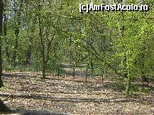 [P22] Platoul Cornesti Tg. Mures - alee prin padure » foto by biancuta
 - 
<span class="allrVoted glyphicon glyphicon-heart hidden" id="av67497"></span>
<a class="m-l-10 hidden" id="sv67497" onclick="voting_Foto_DelVot(,67497,4629)" role="button">șterge vot <span class="glyphicon glyphicon-remove"></span></a>
<a id="v967497" class=" c-red"  onclick="voting_Foto_SetVot(67497)" role="button"><span class="glyphicon glyphicon-heart-empty"></span> <b>LIKE</b> = Votează poza</a> <img class="hidden"  id="f67497W9" src="/imagini/loader.gif" border="0" /><span class="AjErrMes hidden" id="e67497ErM"></span>