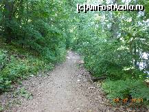 [P12] Pădurea Pustnicu - Cărarea umbroasă prin pădure, pe marginea lacului.  » foto by iulianic
 - 
<span class="allrVoted glyphicon glyphicon-heart hidden" id="av416193"></span>
<a class="m-l-10 hidden" id="sv416193" onclick="voting_Foto_DelVot(,416193,4638)" role="button">șterge vot <span class="glyphicon glyphicon-remove"></span></a>
<a id="v9416193" class=" c-red"  onclick="voting_Foto_SetVot(416193)" role="button"><span class="glyphicon glyphicon-heart-empty"></span> <b>LIKE</b> = Votează poza</a> <img class="hidden"  id="f416193W9" src="/imagini/loader.gif" border="0" /><span class="AjErrMes hidden" id="e416193ErM"></span>