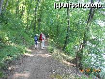 [P15] Pădurea Pustnicu - În drumţie pe cărarea umbroasă de la marginea lacului.  » foto by iulianic
 - 
<span class="allrVoted glyphicon glyphicon-heart hidden" id="av416197"></span>
<a class="m-l-10 hidden" id="sv416197" onclick="voting_Foto_DelVot(,416197,4638)" role="button">șterge vot <span class="glyphicon glyphicon-remove"></span></a>
<a id="v9416197" class=" c-red"  onclick="voting_Foto_SetVot(416197)" role="button"><span class="glyphicon glyphicon-heart-empty"></span> <b>LIKE</b> = Votează poza</a> <img class="hidden"  id="f416197W9" src="/imagini/loader.gif" border="0" /><span class="AjErrMes hidden" id="e416197ErM"></span>