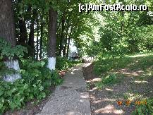 [P07] Pădurea Pustnicu - Aleea în trepte care duce la debarcader.  » foto by iulianic
 - 
<span class="allrVoted glyphicon glyphicon-heart hidden" id="av416185"></span>
<a class="m-l-10 hidden" id="sv416185" onclick="voting_Foto_DelVot(,416185,4638)" role="button">șterge vot <span class="glyphicon glyphicon-remove"></span></a>
<a id="v9416185" class=" c-red"  onclick="voting_Foto_SetVot(416185)" role="button"><span class="glyphicon glyphicon-heart-empty"></span> <b>LIKE</b> = Votează poza</a> <img class="hidden"  id="f416185W9" src="/imagini/loader.gif" border="0" /><span class="AjErrMes hidden" id="e416185ErM"></span>
