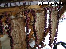 [P08] Coliba Haiducilor - etajul restaurantului cu suncile de porc intinse la ger » foto by kmy
 - 
<span class="allrVoted glyphicon glyphicon-heart hidden" id="av189786"></span>
<a class="m-l-10 hidden" id="sv189786" onclick="voting_Foto_DelVot(,189786,4640)" role="button">șterge vot <span class="glyphicon glyphicon-remove"></span></a>
<a id="v9189786" class=" c-red"  onclick="voting_Foto_SetVot(189786)" role="button"><span class="glyphicon glyphicon-heart-empty"></span> <b>LIKE</b> = Votează poza</a> <img class="hidden"  id="f189786W9" src="/imagini/loader.gif" border="0" /><span class="AjErrMes hidden" id="e189786ErM"></span>