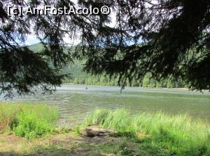 [P49] Lacul Sf. Ana » foto by crismis
 - 
<span class="allrVoted glyphicon glyphicon-heart hidden" id="av801769"></span>
<a class="m-l-10 hidden" id="sv801769" onclick="voting_Foto_DelVot(,801769,4656)" role="button">șterge vot <span class="glyphicon glyphicon-remove"></span></a>
<a id="v9801769" class=" c-red"  onclick="voting_Foto_SetVot(801769)" role="button"><span class="glyphicon glyphicon-heart-empty"></span> <b>LIKE</b> = Votează poza</a> <img class="hidden"  id="f801769W9" src="/imagini/loader.gif" border="0" /><span class="AjErrMes hidden" id="e801769ErM"></span>