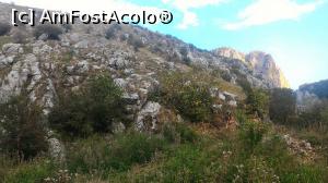 [P11] Cheile Turzii » foto by umflatila
 - 
<span class="allrVoted glyphicon glyphicon-heart hidden" id="av797505"></span>
<a class="m-l-10 hidden" id="sv797505" onclick="voting_Foto_DelVot(,797505,4656)" role="button">șterge vot <span class="glyphicon glyphicon-remove"></span></a>
<a id="v9797505" class=" c-red"  onclick="voting_Foto_SetVot(797505)" role="button"><span class="glyphicon glyphicon-heart-empty"></span> <b>LIKE</b> = Votează poza</a> <img class="hidden"  id="f797505W9" src="/imagini/loader.gif" border="0" /><span class="AjErrMes hidden" id="e797505ErM"></span>