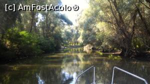 [P14] Pe canalele din Delta Dunarii » foto by umflatila
 - 
<span class="allrVoted glyphicon glyphicon-heart hidden" id="av797508"></span>
<a class="m-l-10 hidden" id="sv797508" onclick="voting_Foto_DelVot(,797508,4656)" role="button">șterge vot <span class="glyphicon glyphicon-remove"></span></a>
<a id="v9797508" class=" c-red"  onclick="voting_Foto_SetVot(797508)" role="button"><span class="glyphicon glyphicon-heart-empty"></span> <b>LIKE</b> = Votează poza</a> <img class="hidden"  id="f797508W9" src="/imagini/loader.gif" border="0" /><span class="AjErrMes hidden" id="e797508ErM"></span>