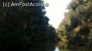 [P15] Delta Dunarii » foto by umflatila
 - 
<span class="allrVoted glyphicon glyphicon-heart hidden" id="av797509"></span>
<a class="m-l-10 hidden" id="sv797509" onclick="voting_Foto_DelVot(,797509,4656)" role="button">șterge vot <span class="glyphicon glyphicon-remove"></span></a>
<a id="v9797509" class=" c-red"  onclick="voting_Foto_SetVot(797509)" role="button"><span class="glyphicon glyphicon-heart-empty"></span> <b>LIKE</b> = Votează poza</a> <img class="hidden"  id="f797509W9" src="/imagini/loader.gif" border="0" /><span class="AjErrMes hidden" id="e797509ErM"></span>