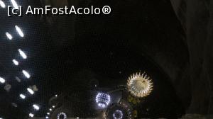 [P31] Salina Turda » foto by umflatila
 - 
<span class="allrVoted glyphicon glyphicon-heart hidden" id="av797525"></span>
<a class="m-l-10 hidden" id="sv797525" onclick="voting_Foto_DelVot(,797525,4656)" role="button">șterge vot <span class="glyphicon glyphicon-remove"></span></a>
<a id="v9797525" class=" c-red"  onclick="voting_Foto_SetVot(797525)" role="button"><span class="glyphicon glyphicon-heart-empty"></span> <b>LIKE</b> = Votează poza</a> <img class="hidden"  id="f797525W9" src="/imagini/loader.gif" border="0" /><span class="AjErrMes hidden" id="e797525ErM"></span>