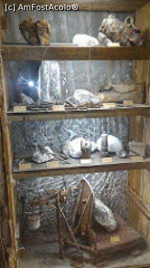 [P34] Salina Turda - istorie » foto by umflatila
 - 
<span class="allrVoted glyphicon glyphicon-heart hidden" id="av797528"></span>
<a class="m-l-10 hidden" id="sv797528" onclick="voting_Foto_DelVot(,797528,4656)" role="button">șterge vot <span class="glyphicon glyphicon-remove"></span></a>
<a id="v9797528" class=" c-red"  onclick="voting_Foto_SetVot(797528)" role="button"><span class="glyphicon glyphicon-heart-empty"></span> <b>LIKE</b> = Votează poza</a> <img class="hidden"  id="f797528W9" src="/imagini/loader.gif" border="0" /><span class="AjErrMes hidden" id="e797528ErM"></span>