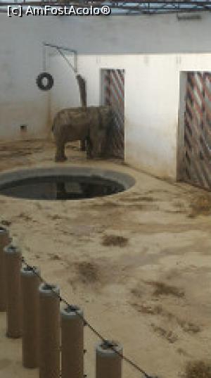 [P36] Zoo Targu Mures » foto by umflatila
 - 
<span class="allrVoted glyphicon glyphicon-heart hidden" id="av797530"></span>
<a class="m-l-10 hidden" id="sv797530" onclick="voting_Foto_DelVot(,797530,4656)" role="button">șterge vot <span class="glyphicon glyphicon-remove"></span></a>
<a id="v9797530" class=" c-red"  onclick="voting_Foto_SetVot(797530)" role="button"><span class="glyphicon glyphicon-heart-empty"></span> <b>LIKE</b> = Votează poza</a> <img class="hidden"  id="f797530W9" src="/imagini/loader.gif" border="0" /><span class="AjErrMes hidden" id="e797530ErM"></span>