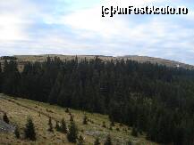 [P04] Ranca Octombrie 2010 » foto by ionescunic
 - 
<span class="allrVoted glyphicon glyphicon-heart hidden" id="av295547"></span>
<a class="m-l-10 hidden" id="sv295547" onclick="voting_Foto_DelVot(,295547,4665)" role="button">șterge vot <span class="glyphicon glyphicon-remove"></span></a>
<a id="v9295547" class=" c-red"  onclick="voting_Foto_SetVot(295547)" role="button"><span class="glyphicon glyphicon-heart-empty"></span> <b>LIKE</b> = Votează poza</a> <img class="hidden"  id="f295547W9" src="/imagini/loader.gif" border="0" /><span class="AjErrMes hidden" id="e295547ErM"></span>