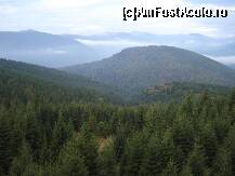 [P06] Ranca Octombrie 2010 » foto by ionescunic
 - 
<span class="allrVoted glyphicon glyphicon-heart hidden" id="av295549"></span>
<a class="m-l-10 hidden" id="sv295549" onclick="voting_Foto_DelVot(,295549,4665)" role="button">șterge vot <span class="glyphicon glyphicon-remove"></span></a>
<a id="v9295549" class=" c-red"  onclick="voting_Foto_SetVot(295549)" role="button"><span class="glyphicon glyphicon-heart-empty"></span> <b>LIKE</b> = Votează poza</a> <img class="hidden"  id="f295549W9" src="/imagini/loader.gif" border="0" /><span class="AjErrMes hidden" id="e295549ErM"></span>