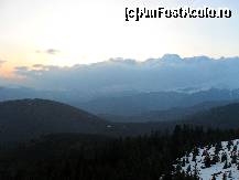 [P18] E norul acela gros si negru de care m-am speriat! » foto by georgiana
 - 
<span class="allrVoted glyphicon glyphicon-heart hidden" id="av68203"></span>
<a class="m-l-10 hidden" id="sv68203" onclick="voting_Foto_DelVot(,68203,4665)" role="button">șterge vot <span class="glyphicon glyphicon-remove"></span></a>
<a id="v968203" class=" c-red"  onclick="voting_Foto_SetVot(68203)" role="button"><span class="glyphicon glyphicon-heart-empty"></span> <b>LIKE</b> = Votează poza</a> <img class="hidden"  id="f68203W9" src="/imagini/loader.gif" border="0" /><span class="AjErrMes hidden" id="e68203ErM"></span>