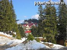 [P26] Printre molizi se zaresc cateva dintre vilele noi construite » foto by georgiana
 - 
<span class="allrVoted glyphicon glyphicon-heart hidden" id="av68223"></span>
<a class="m-l-10 hidden" id="sv68223" onclick="voting_Foto_DelVot(,68223,4665)" role="button">șterge vot <span class="glyphicon glyphicon-remove"></span></a>
<a id="v968223" class=" c-red"  onclick="voting_Foto_SetVot(68223)" role="button"><span class="glyphicon glyphicon-heart-empty"></span> <b>LIKE</b> = Votează poza</a> <img class="hidden"  id="f68223W9" src="/imagini/loader.gif" border="0" /><span class="AjErrMes hidden" id="e68223ErM"></span>