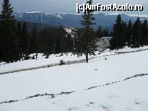 [P31] Crestele Muntilor Parang » foto by georgiana
 - 
<span class="allrVoted glyphicon glyphicon-heart hidden" id="av68234"></span>
<a class="m-l-10 hidden" id="sv68234" onclick="voting_Foto_DelVot(,68234,4665)" role="button">șterge vot <span class="glyphicon glyphicon-remove"></span></a>
<a id="v968234" class=" c-red"  onclick="voting_Foto_SetVot(68234)" role="button"><span class="glyphicon glyphicon-heart-empty"></span> <b>LIKE</b> = Votează poza</a> <img class="hidden"  id="f68234W9" src="/imagini/loader.gif" border="0" /><span class="AjErrMes hidden" id="e68234ErM"></span>