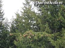 [P33] predominau molizii in Ranca » foto by georgiana
 - 
<span class="allrVoted glyphicon glyphicon-heart hidden" id="av68237"></span>
<a class="m-l-10 hidden" id="sv68237" onclick="voting_Foto_DelVot(,68237,4665)" role="button">șterge vot <span class="glyphicon glyphicon-remove"></span></a>
<a id="v968237" class=" c-red"  onclick="voting_Foto_SetVot(68237)" role="button"><span class="glyphicon glyphicon-heart-empty"></span> <b>LIKE</b> = Votează poza</a> <img class="hidden"  id="f68237W9" src="/imagini/loader.gif" border="0" /><span class="AjErrMes hidden" id="e68237ErM"></span>