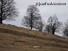 [P04] In drum spre Ranca,inca nu se vedea zapada! » foto by georgiana
 - 
<span class="allrVoted glyphicon glyphicon-heart hidden" id="av68184"></span>
<a class="m-l-10 hidden" id="sv68184" onclick="voting_Foto_DelVot(,68184,4665)" role="button">șterge vot <span class="glyphicon glyphicon-remove"></span></a>
<a id="v968184" class=" c-red"  onclick="voting_Foto_SetVot(68184)" role="button"><span class="glyphicon glyphicon-heart-empty"></span> <b>LIKE</b> = Votează poza</a> <img class="hidden"  id="f68184W9" src="/imagini/loader.gif" border="0" /><span class="AjErrMes hidden" id="e68184ErM"></span>