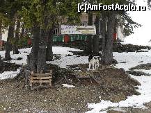 [P42] Cel mai vechi punct comercial din zona-''La Sandel''! » foto by georgiana
 - 
<span class="allrVoted glyphicon glyphicon-heart hidden" id="av68246"></span>
<a class="m-l-10 hidden" id="sv68246" onclick="voting_Foto_DelVot(,68246,4665)" role="button">șterge vot <span class="glyphicon glyphicon-remove"></span></a>
<a id="v968246" class=" c-red"  onclick="voting_Foto_SetVot(68246)" role="button"><span class="glyphicon glyphicon-heart-empty"></span> <b>LIKE</b> = Votează poza</a> <img class="hidden"  id="f68246W9" src="/imagini/loader.gif" border="0" /><span class="AjErrMes hidden" id="e68246ErM"></span>