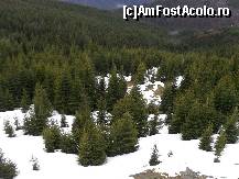 [P49] Daca ati uitat mirosul cetinei de brad....mergeti la Ranca! » foto by georgiana
 - 
<span class="allrVoted glyphicon glyphicon-heart hidden" id="av68255"></span>
<a class="m-l-10 hidden" id="sv68255" onclick="voting_Foto_DelVot(,68255,4665)" role="button">șterge vot <span class="glyphicon glyphicon-remove"></span></a>
<a id="v968255" class=" c-red"  onclick="voting_Foto_SetVot(68255)" role="button"><span class="glyphicon glyphicon-heart-empty"></span> <b>LIKE</b> = Votează poza</a> <img class="hidden"  id="f68255W9" src="/imagini/loader.gif" border="0" /><span class="AjErrMes hidden" id="e68255ErM"></span>